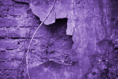 Doku paslı mor. Tasarım için doku ve arkaplan.