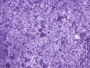 Doku paslı mor. Tasarım için doku ve arkaplan.