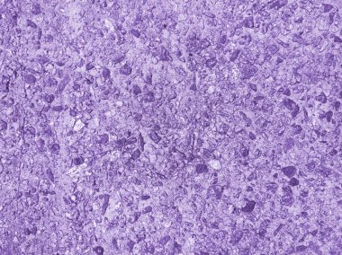 Doku paslı mor. Tasarım için doku ve arkaplan.