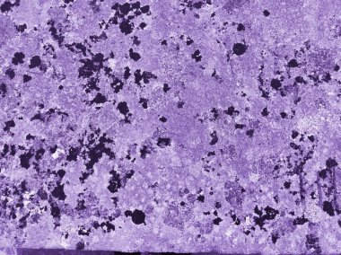 Doku paslı mor. Tasarım için doku ve arkaplan.