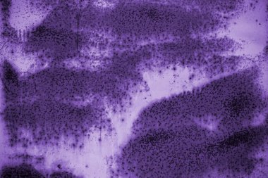 Doku paslı mor. Tasarım için doku ve arkaplan.