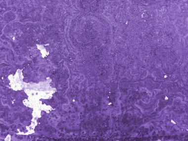 Doku paslı mor. Tasarım için doku ve arkaplan.