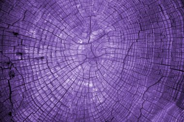 Doku paslı mor. Tasarım için doku ve arkaplan.