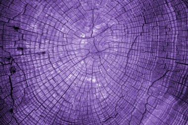 Doku paslı mor. Tasarım için doku ve arkaplan.