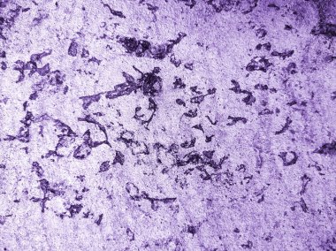 Doku paslı mor. Tasarım için doku ve arkaplan.