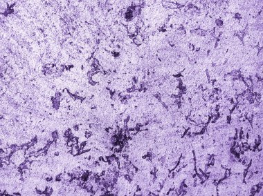 Doku paslı mor. Tasarım için doku ve arkaplan.