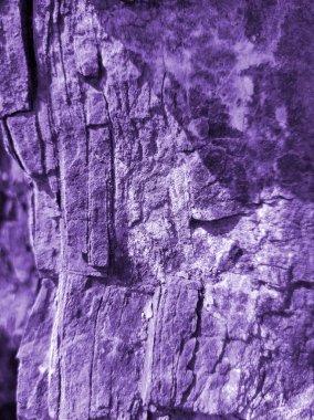 Doku paslı mor. Tasarım için doku ve arkaplan.