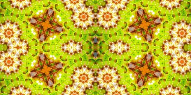 Kusursuz desen. Karışık desenlerin dokusu. Arkaplan yaratıcı soyut