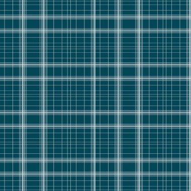 Kusursuz bir İskoçya örneği. İskoç dokusu. Çizgilerin dokusu