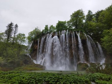 Plitvice Lakes Ulusal Parkı. Şelale manzaraları. UNESCO Dünya Mirası. Şelale. Doğa fotoğrafları