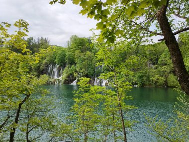 Plitvice Lakes Ulusal Parkı. Şelale manzaraları. UNESCO Dünya Mirası. Şelale. Doğa fotoğrafları
