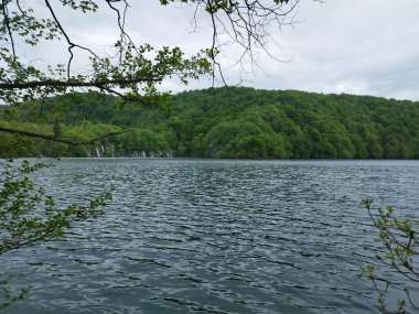 Plitvice Lakes Ulusal Parkı. Şelale manzaraları. UNESCO Dünya Mirası. Şelale. Doğa fotoğrafları