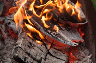 Izgarada yangın. Şöminede yangın var. Ateş ve kömür. dizayn