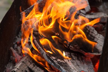 Izgarada yangın. Şöminede yangın var. Ateş ve kömür. dizayn