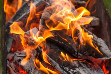 Izgarada yangın. Şöminede yangın var. Ateş ve kömür. dizayn