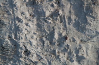 Dokulu alçı dokusu. Kaba sıva. Doku grisi desenli