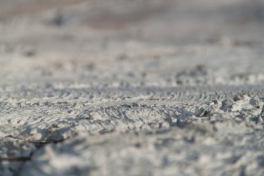 Dokulu alçı dokusu. Kaba sıva. Doku grisi desenli