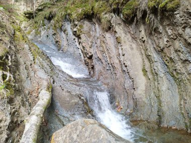 Bir dağ şelalesinin fotoğrafı. Ukrayna doğası. Ukrayna ormanı. Bir taşın üzerindeki şelale