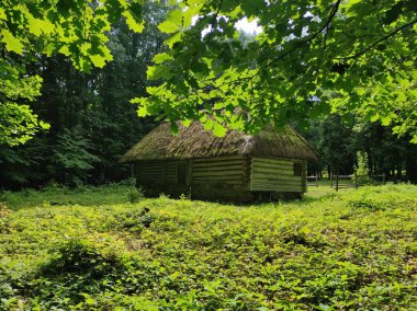Tarihi Ukrayna binası. Antik ahşap ev. Kazak kulübesi. Arka ışıklandırma evi. Ormandaki ev. Ukrayna Tarihi Mimari Müzesi.