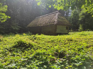 Tarihi Ukrayna binası. Antik ahşap ev. Kazak kulübesi. Arka ışıklandırma evi. Ormandaki ev. Ukrayna Tarihi Mimari Müzesi.
