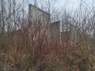 Labirent. Kıyametsel labirent sonrası. Apocalypse. Terk edilmiş labirent. Hayalet labirenti. Distopia. Hayalet kasaba. Hayalet labirenti. Beton labirent. Gerçek fotoğraf.