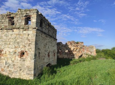 Ukrayna kaleleri. Eski kaleler. Harabe kaleler