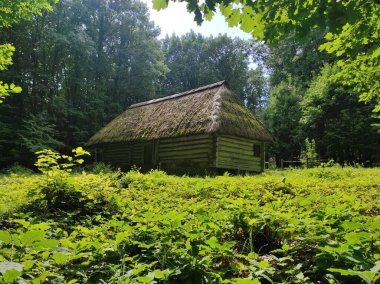 Tarihi Ukrayna binası. Antik ahşap ev. Kazak kulübesi. Arka ışıklandırma evi. Ormandaki ev. Ukrayna Tarihi Mimari Müzesi.