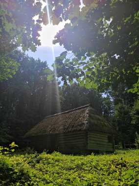 Tarihi Ukrayna binası. Antik ahşap ev. Kazak kulübesi. Arka ışıklandırma evi. Ormandaki ev. Ukrayna Tarihi Mimari Müzesi.