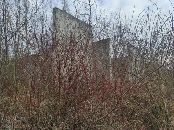 Labirent. Kıyametsel labirent sonrası. Apocalypse. Terk edilmiş labirent. Hayalet labirenti. Distopia. Hayalet kasaba. Hayalet labirenti. Beton labirent. Gerçek fotoğraf.
