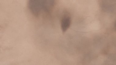 Eski kağıt arkaplan. Tarihi bir geçmiş. Eski bir geçmiş. Eski kağıt dokusu