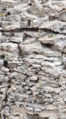 Taş dokusu. Dikey 16x9. Doğal taşın fotoğrafı. Doğal taş.