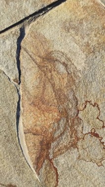 Taş dokusu. Dikey 16x9. Doğal taşın fotoğrafı. Doğal taş.