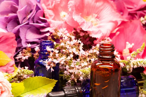 Квіти Пляшки Ефірних Олій Ароматерапії — стокове фото