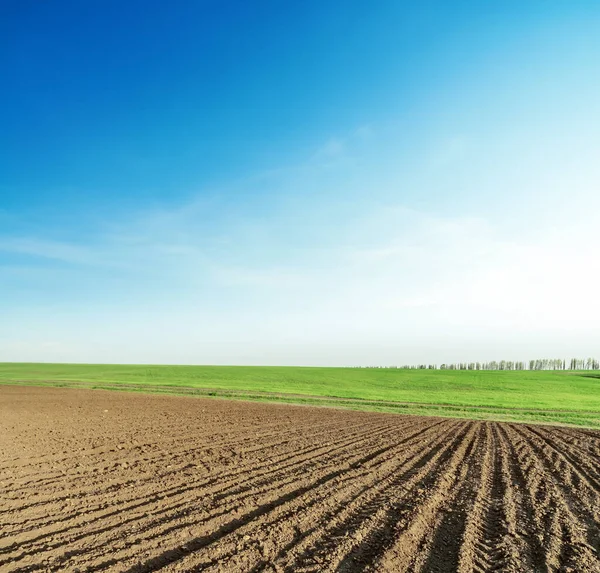 Agriculture Ploughed Field Green Horizon Sunset Time Blue Sky Farmland — Stockfoto