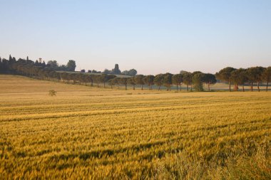 Val di Chiana 'nın baharda gün doğumunda manzarası