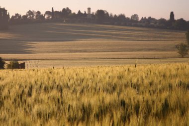 Val di Chiana 'nın baharda gün doğumunda manzarası