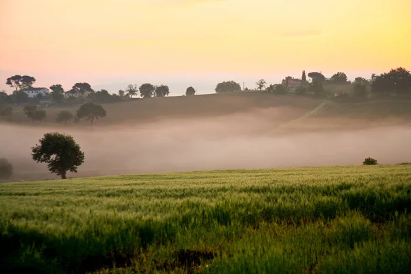 stock image landscape of the Val di Chiana at sunrise in the spring