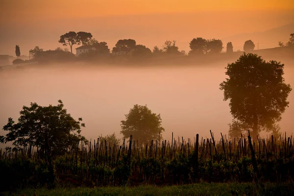 stock image landscape of the Val di Chiana at sunrise in the spring