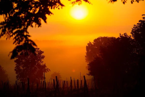 Пейзаж Валь Кьяна Восходе Солнца Весной — стоковое фото