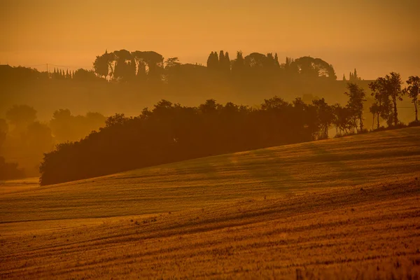 Val di Chiana 'nın baharda gün doğumunda manzarası