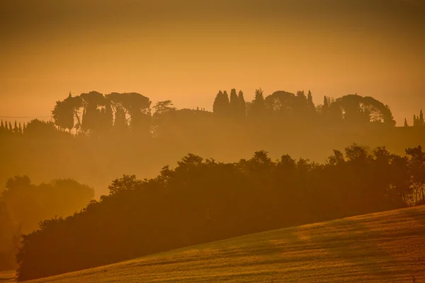 Val di Chiana 'nın baharda gün doğumunda manzarası