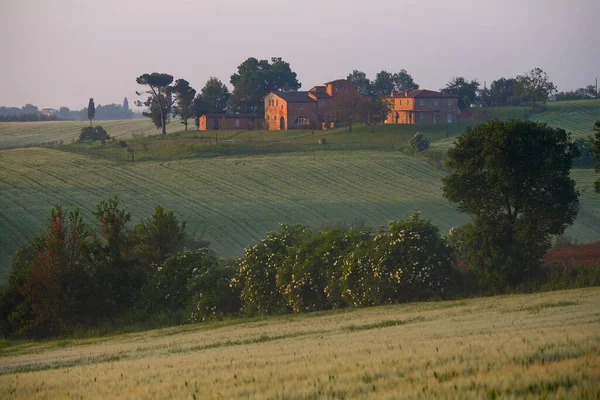 Val di Chiana 'nın baharda gün doğumunda manzarası