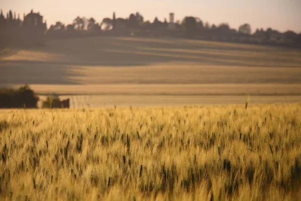 Val di Chiana 'nın baharda gün doğumunda manzarası