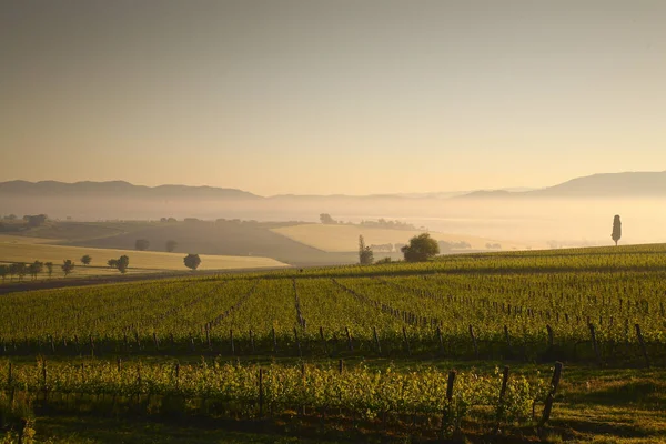 Val di Chiana 'nın baharda gün doğumunda manzarası