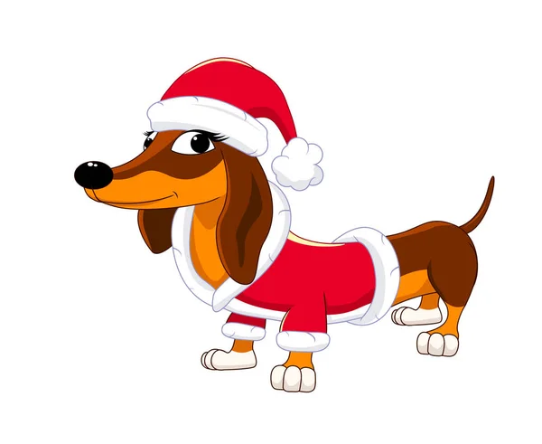 Netter Cartoon Dackel Mit Weihnachtsmütze Und Kostüm Hund Auf Weißem — Stockvektor