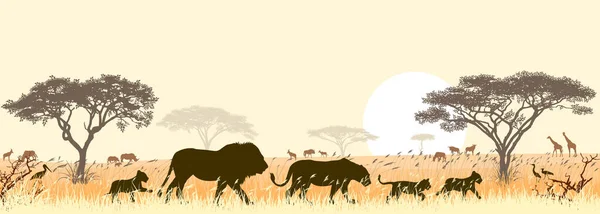 Silhouettes Wild Lions African Savanna Background Trees Sun — Stock Vector