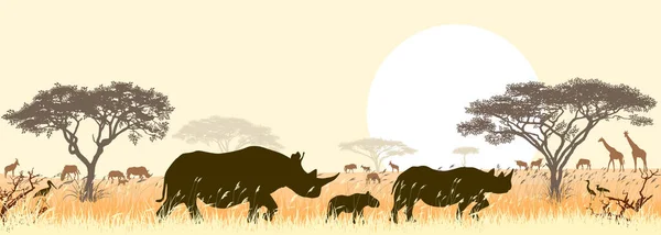 非洲野生犀牛一家 背景是太阳和热带草原树 — 图库矢量图片