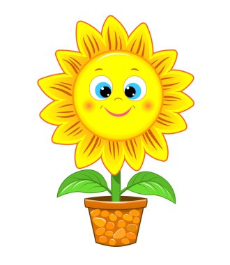 Beyaz arka planda şirin bir ayçiçeği..