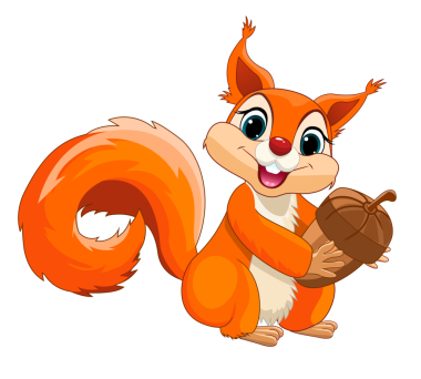 Tüylü kuyruklu neşeli kırmızı bir sincap pençesinde meşe palamudu tutuyor. Şeffaf bir arkaplanda sincap.