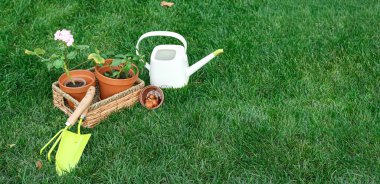 Yeşil çimlerin üzerinde bahçe aletleri.